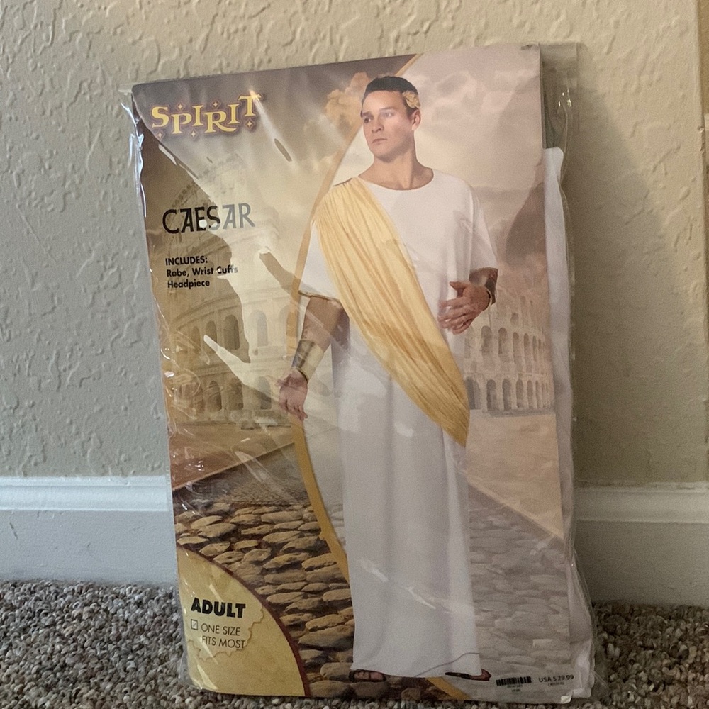 Adult Caesar Costume NWT